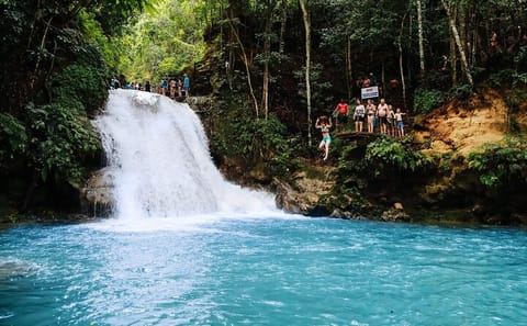 Half-Day Adventure Tour of Dunn's River Falls and Blue Hole in Ocho Rios