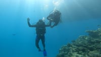 Premium Scuba Diving for Beginners, 2 Diving Stops & Lunch - Hurghada