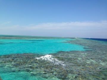 A week in Marsa Alam Egypt