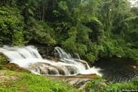 Coastal Journey: Private 4-Day Guided Tour from Rio to São Paulo  8