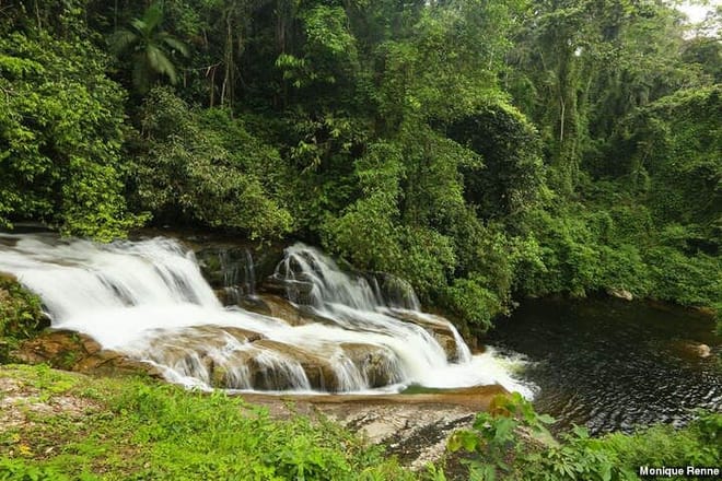 Coastal Journey: Private 4-Day Guided Tour from Rio to São Paulo  8