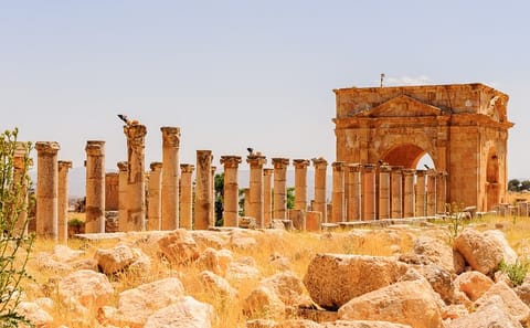 6-Night Jordan Tour: Explore Jerash, Petra, Dead Sea, and Wadi Rum