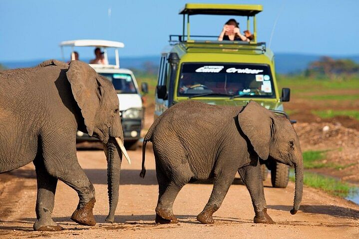 Amboseli, Nakuru & Maasai Mara Safari Adventure in 4×4 Landcruiser