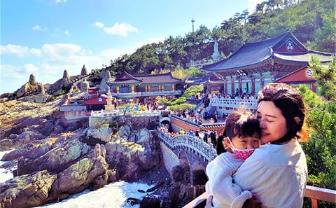 Private Customized Tour of Busan from Seoul via KTX Train