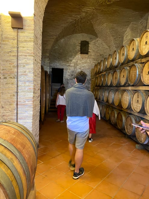  Visit and Tasting at the San Lorenzo's winery, among old houses and of its green coutryside - Photo 12