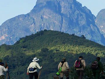Trekking Adventure in Knuckles Mountain, Kandy Sri Lanka