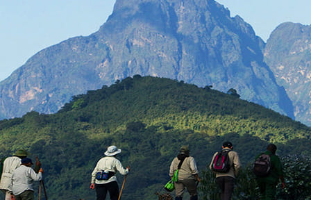 Active Trekking With Knuckles Mountain