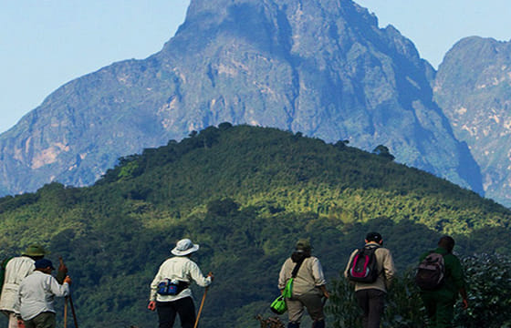 Active Trekking With Knuckles Mountain