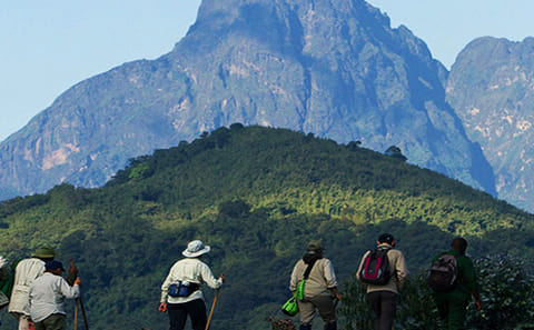 Trekking Adventure in Knuckles Mountain, Kandy Sri Lanka