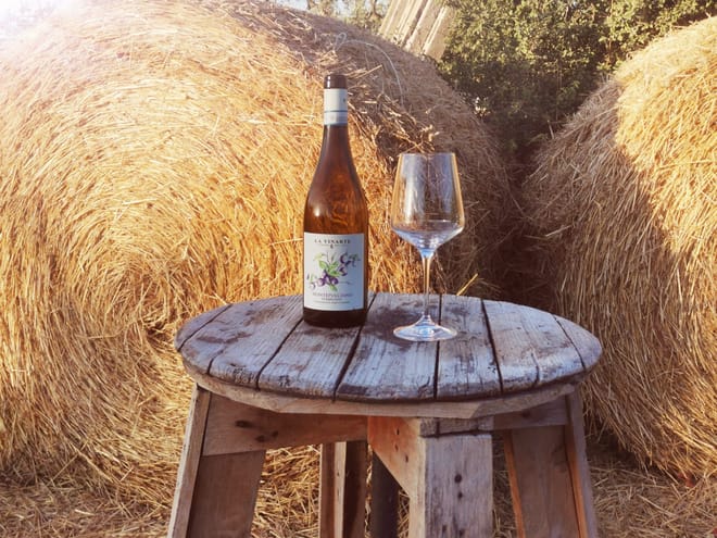 La Vinarte Winery and small Tasting - Photo 5