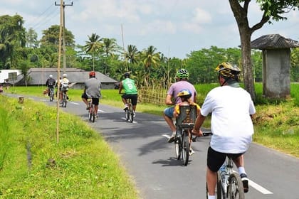 Half-Day Ubud Rice Field and Village Cycling Tour