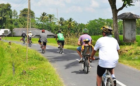 Ubud Rice Field and Village Cycling Tour in Indonesia