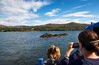 Explore Cape Clear island departing from Schull - Self-guided 2