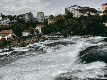Black Forest and Rhine Falls Day Trip from Zurich