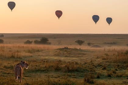 Balloon Safari in Maasai Mara