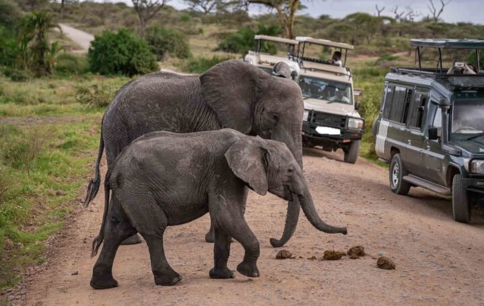 4-Day Amboseli National Park Safari on 4×4 Landcruiser Jeep