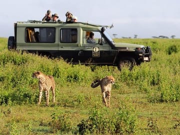 Game drive masai mara