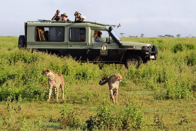 Game drive masai mara