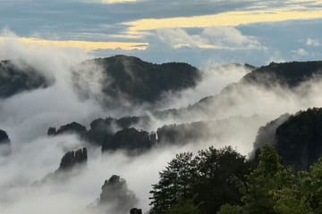 Private Day Tour of Zhangjiajie National Forest Park