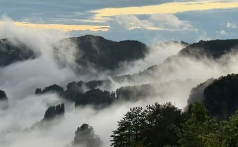 Private Day Tour of Zhangjiajie National Forest Park
