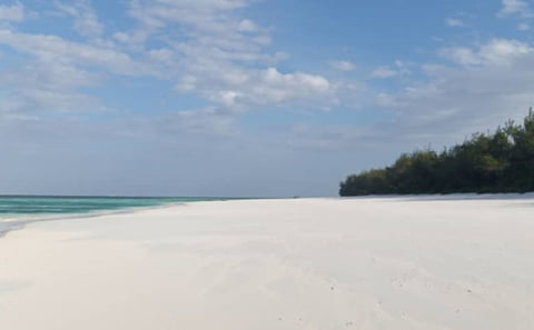 Paradise Beach Tour: Pemba Island’s Best-Kept Secret