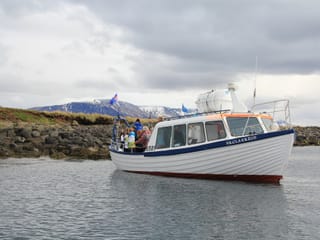 Whales & Puffins, photo 11