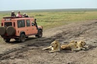 Serengeti Game drive
