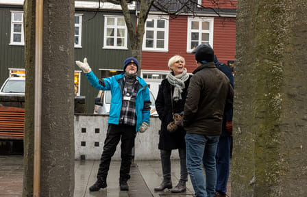 Private Reykjavik City & Food Walking Tour