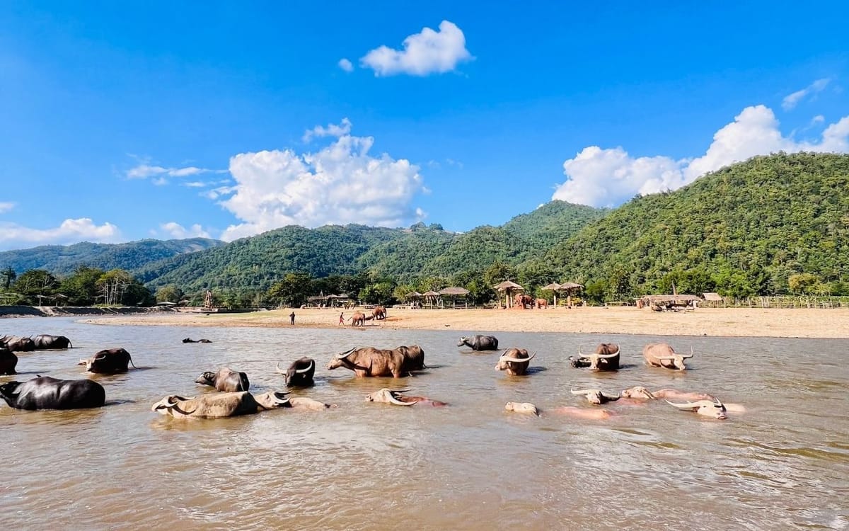 Chiang Mai Half-Day Adventure: River Tubing & Waterfall Slide