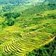 Authentic Sapa Trekking With Local Family Homestay (2d1n by bus)