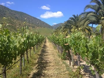 Casa blanca wine tour