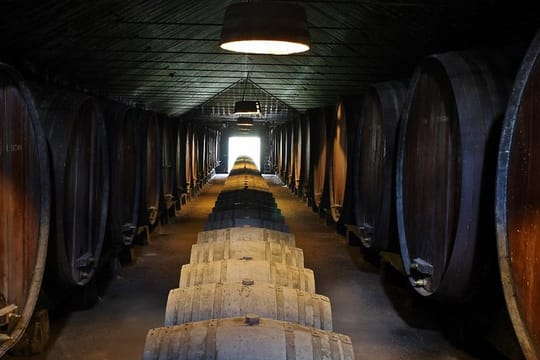 Setúbal's Wine Region Wine Tasting Tour