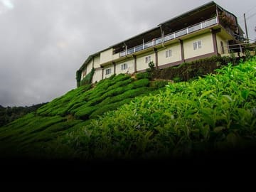 Tea Factory and Cultural Tour in Ambalangoda, Sri Lanka