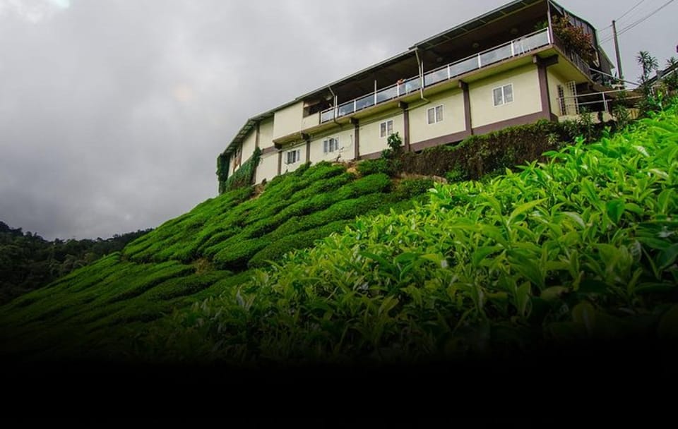 Tea Factory and Cultural Tour in Ambalangoda, Sri Lanka