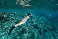 Tiran Island Full Day Snorkeling Sea trip, Lunch With Transfer - Sharm El Sheikh