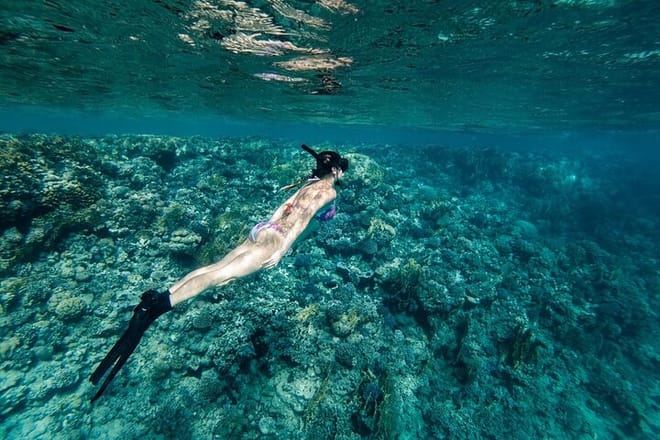Tiran Island Full Day Snorkeling Sea trip, Lunch With Transfer - Sharm El Sheikh