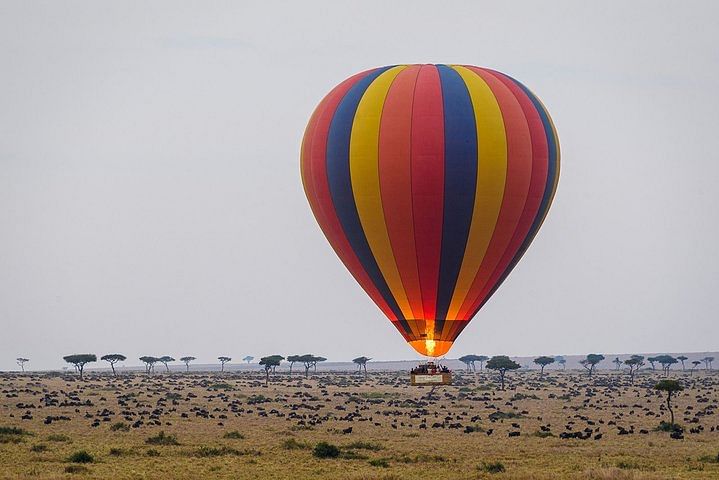 Masai Mara Private Safari with Hot Air Balloon Adventure Experience