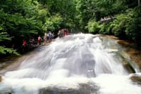 Full-Day Kitulgala White Water Rafting Tour from Colombo 8