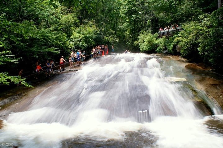 Full-Day Kitulgala White Water Rafting Tour from Colombo 8