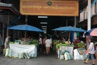 Monks Morning Almsgiving Tour – Traditional Food Offering 9