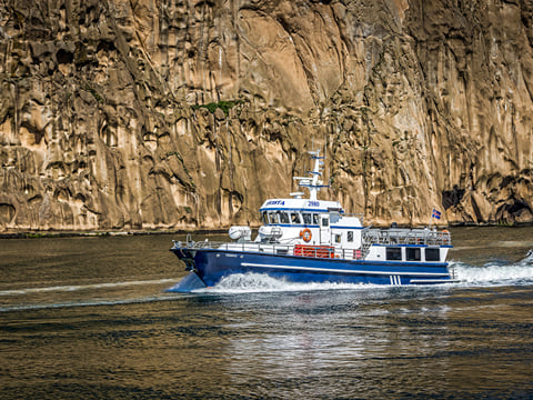 Vestmannaeyjar Boat Tour, photo 8