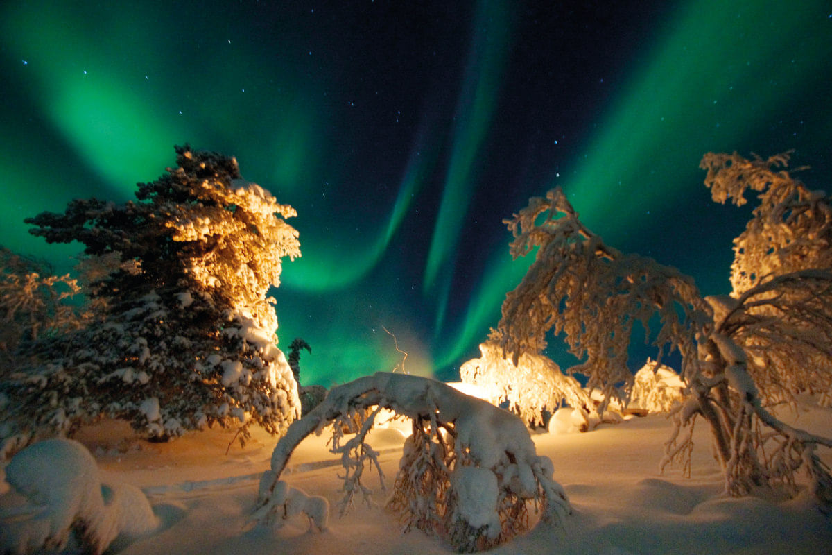 Northern lights on the sky and lighted snowloaded trees