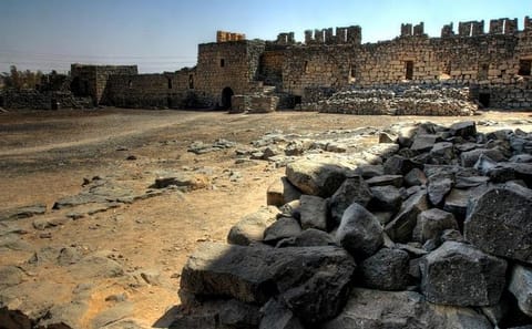 Full-Day Private Tour of Ajloun and Islamic Desert Castles from Amman