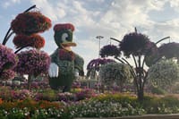 Miracle Garden & Global Village Entrance with Transportation  2