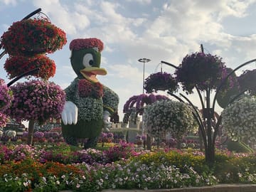 Layover in Abu Dhabi Sightseeing Tour