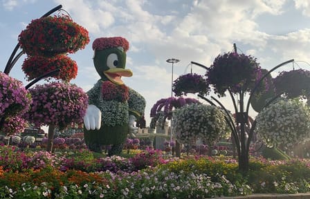 Miracle Garden and Global Village Tour with Transportation in Dubai