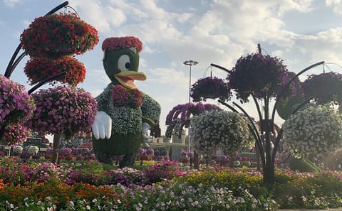 Miracle Garden and Global Village Tour with Transportation in Dubai
