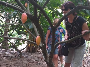 2-Day Mekong Delta Tour with Cai Cang Market from Ho Chi Minh City