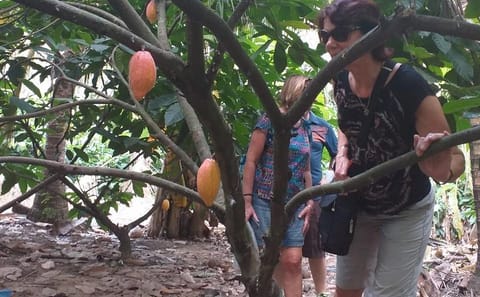 2-Day Mekong Delta Tour with Cai Cang Market from Ho Chi Minh City