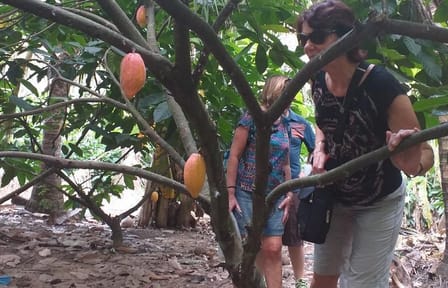 2-Day Mekong Delta Tour with Cai Cang Market from Ho Chi Minh City
